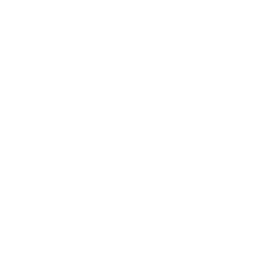 Christmas Lights Installation